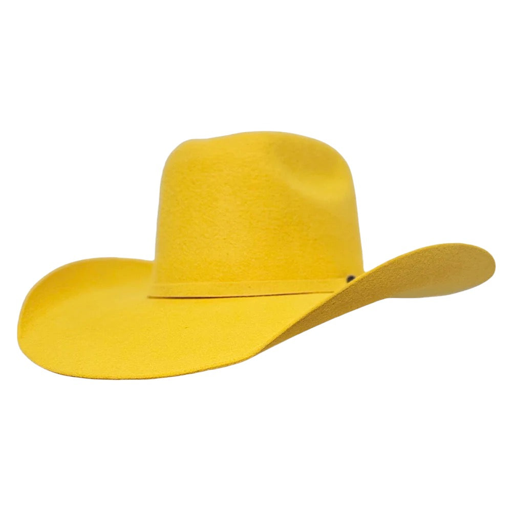 COWGIRL WILD Montana Series